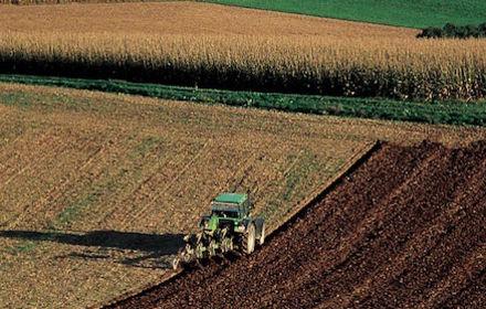 Le labour, une technique toujours d’actualité