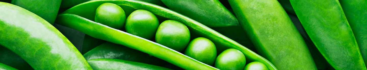 peas_banner_21_bvs-comp.jpg