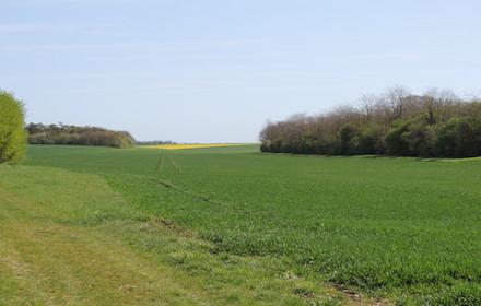 Mieux connaître la biodiversité dans les sols agricoles pour mieux la préserver