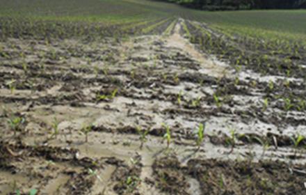 Quelles sont les solutions afin de réduire le ruissellement des produits phytosanitaires en milieu agricole ?