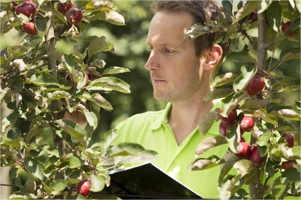 Moins traiter en tavelure, c’est possible