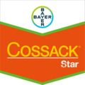 Cossack® Star