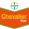 Chevalier® Star