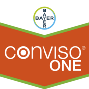 Conviso® One