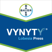 Vynyty® Lobesia Press