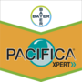 Pacifica® Xpert