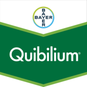 Quibilium®