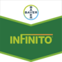 Infinito®