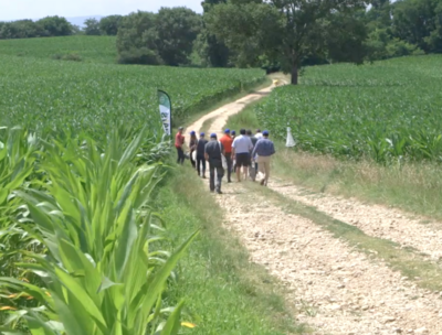 Agriculteur, riverains et promeneurs sont réunis en groupe sur un sentier au milieu des champs de maïs.