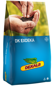 DK EXDEKA