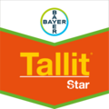 Tallit® Star