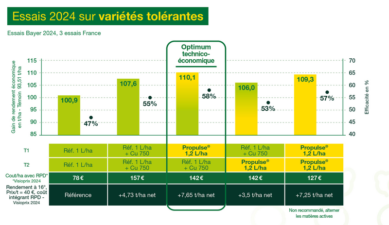 résultats d'essais 2024 du fongicide betterave Propulse/Yearling sur variétés tolérantes