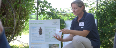 agriculteur et riverain, Sandrine Bonnand ingénieure Bayer montre un pot rempli d'eau contenant des carabes et explique comment préserver les insectes auxiliaires des cultures.