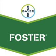 Foster®