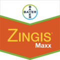 Zingis® Maxx