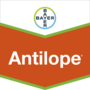 Antilope®