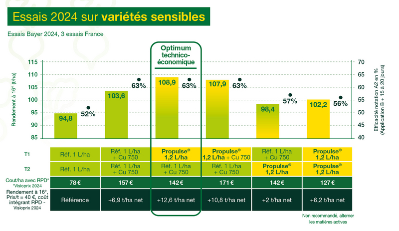 résultats d'essais 2024 du fongicide betterave Propulse/Yearling sur variétés sensibles 