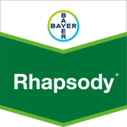 Rhapsody®