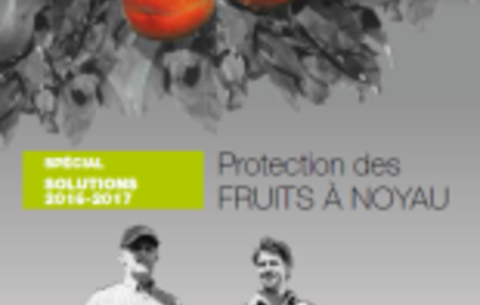 Guide solutions protection fruits à noyau