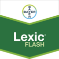 Lexic® Flash