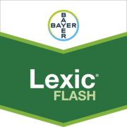 Lexic® Flash