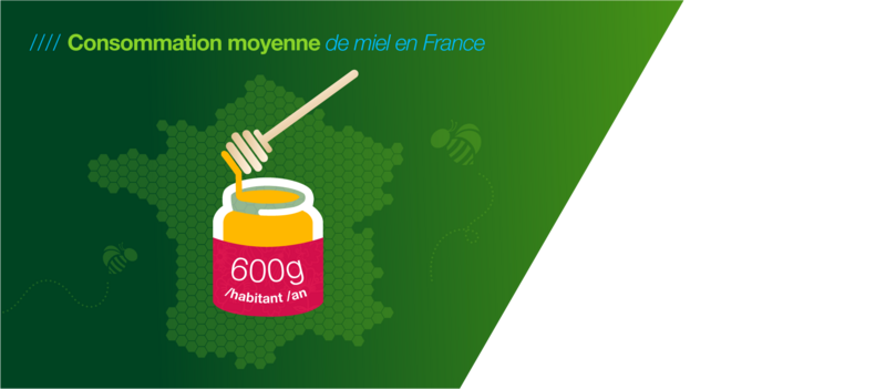 L'apiculture en France, schéma d'un pot de miel au milieu de la France, donnant la consommation moyenne de miel en France