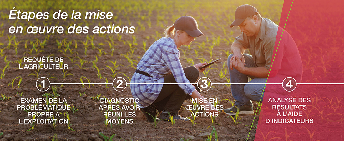 1. Dans le cadre du réseau d’agriculteurs fermes de références un graphique explique les 4 étapes de l’accompagnement proposé par Bayer aux agriculteurs. En illustration deux personnages examinent un plan de blé.