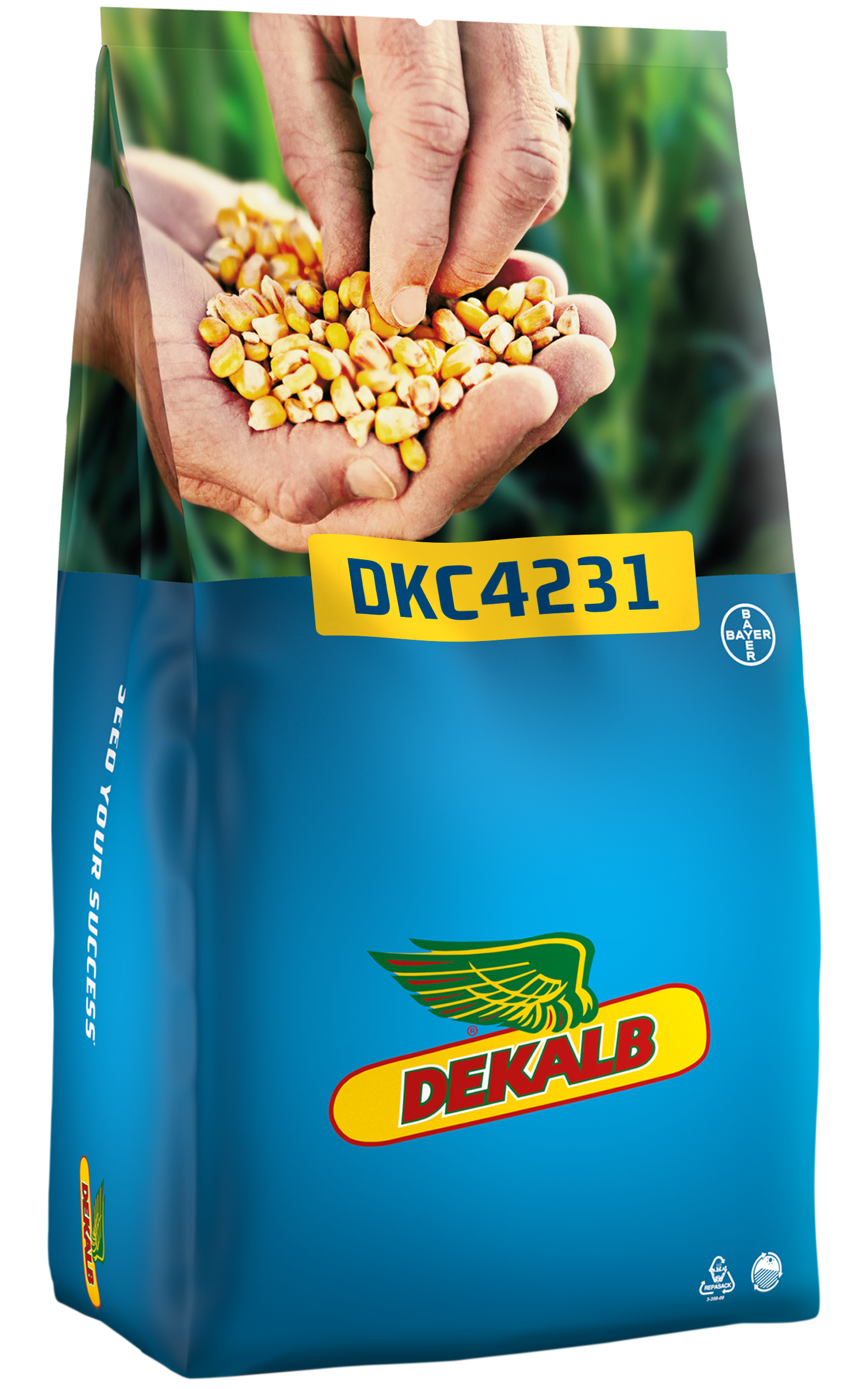 DKC4231